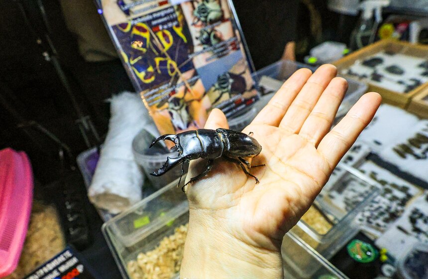 Выставка-ярмарка "Энтотерра" прошла в "Студио Холл" 24 фото