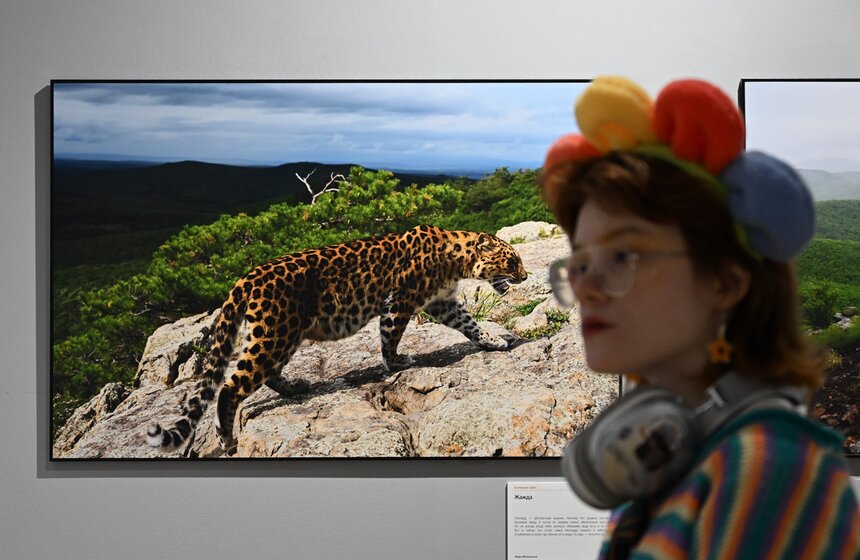 Фестиваль природы "Первозданная Россия" открылся в Москве 12 фото