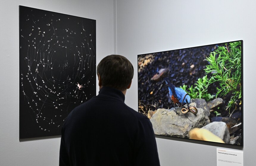 Фестиваль природы "Первозданная Россия" открылся в Москве 16 фото