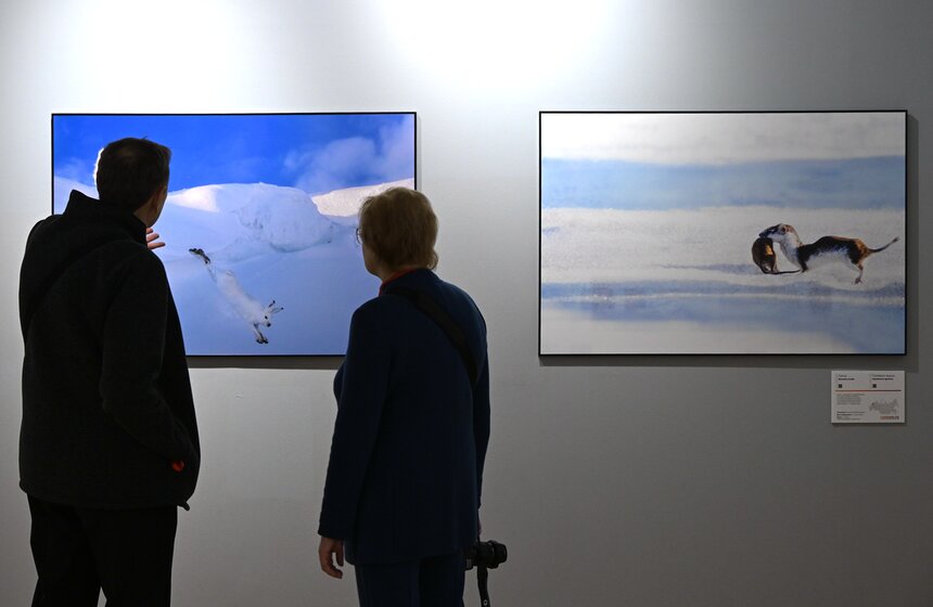 Фестиваль природы "Первозданная Россия" открылся в Москве 3 фото