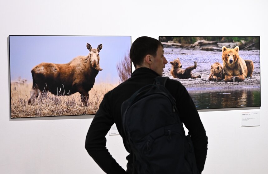 Фестиваль природы "Первозданная Россия" открылся в Москве 6 фото