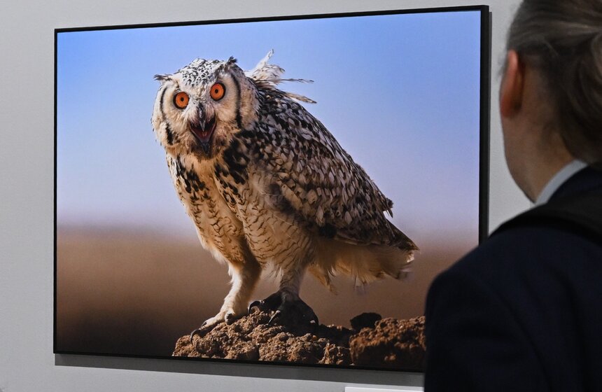 Фестиваль природы "Первозданная Россия" открылся в Москве 10 фото