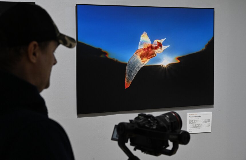 Фестиваль природы "Первозданная Россия" открылся в Москве 5 фото