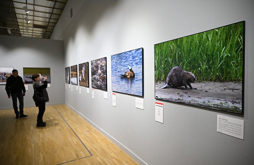 Фестиваль природы "Первозданная Россия" открылся в Москве 4 фото