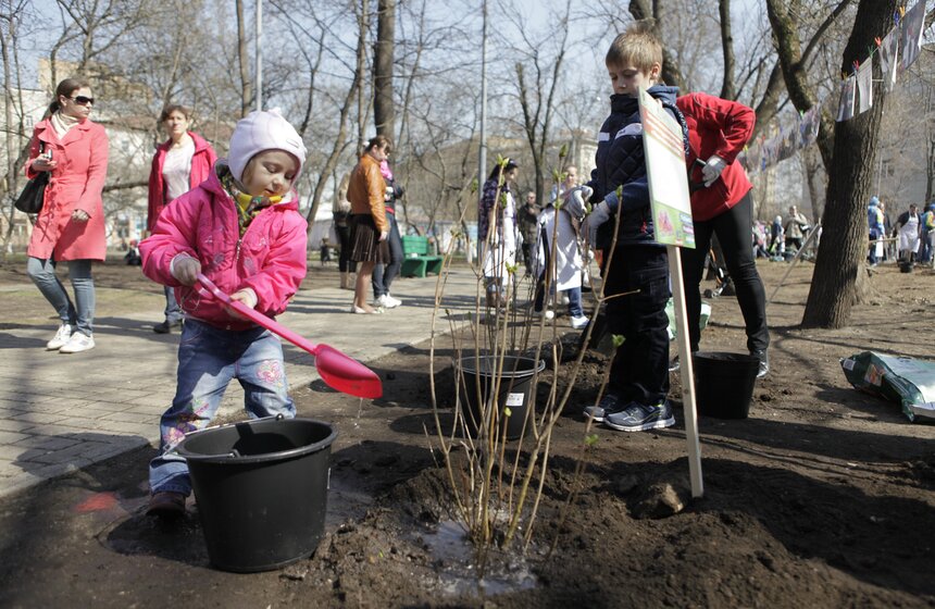 В ЦАО высадили 100 кустов сирени в честь волонтеров Сочи-2014 16 фото