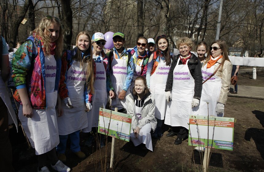 В ЦАО высадили 100 кустов сирени в честь волонтеров Сочи-2014 14 фото
