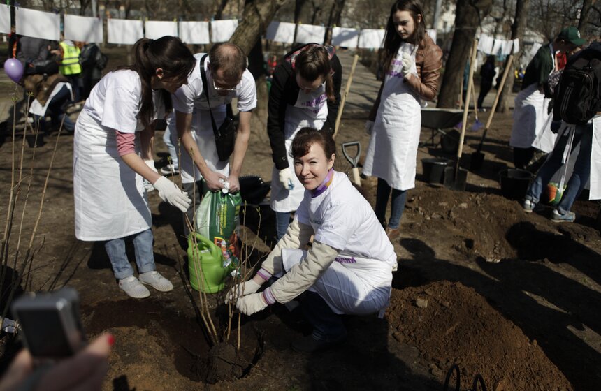 В ЦАО высадили 100 кустов сирени в честь волонтеров Сочи-2014 13 фото