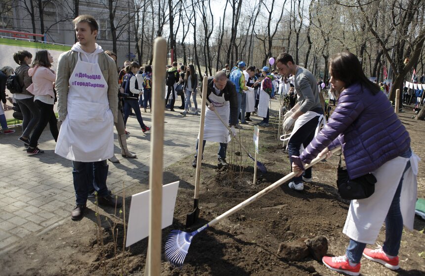 В ЦАО высадили 100 кустов сирени в честь волонтеров Сочи-2014 18 фото