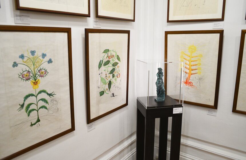 Выставка работ Сальвадора Дали "Женщины-цветы" открылась в саду им Баумана 4 фото