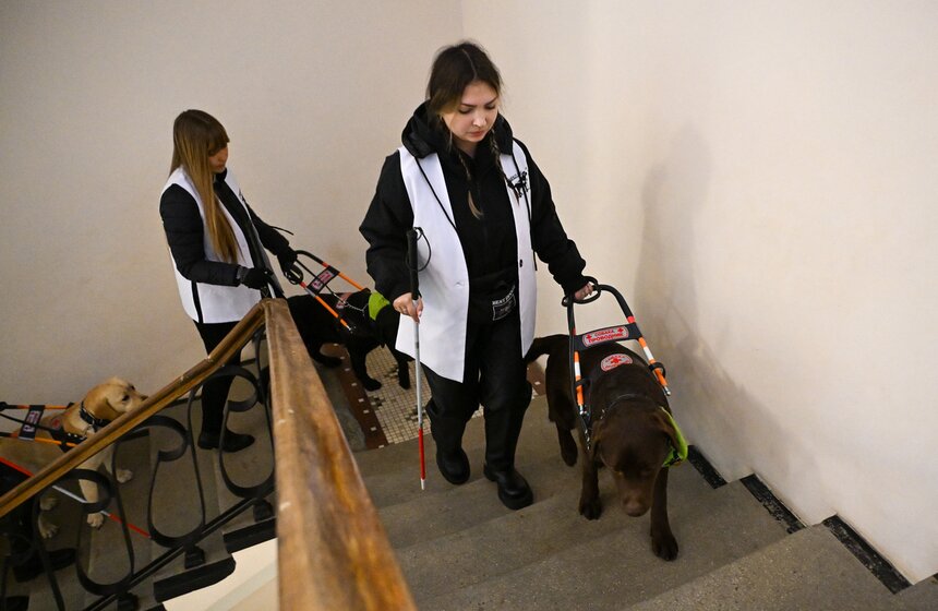 Международный день собак-проводников отметили на Северном речном вокзале 2 фото
