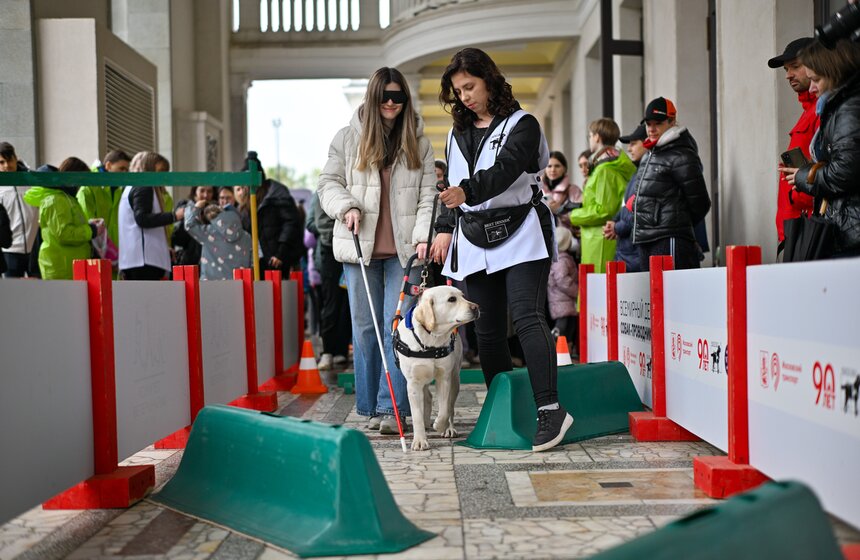 Международный день собак-проводников отметили на Северном речном вокзале 12 фото
