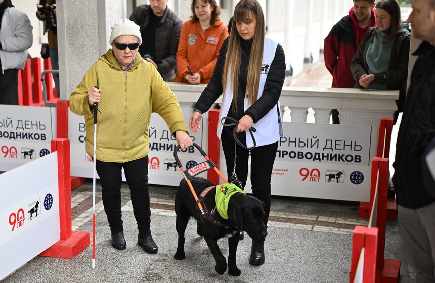 Международный день собак-проводников отметили на Северном речном вокзале 19 фото