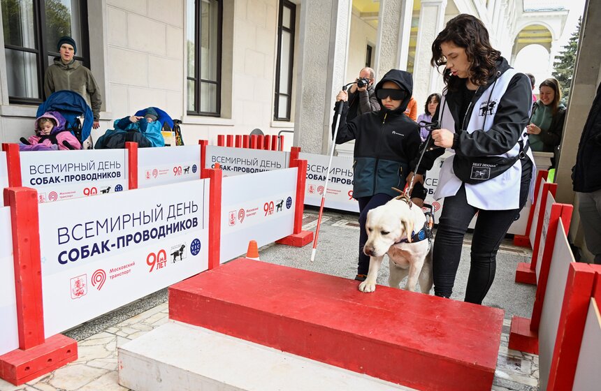 Международный день собак-проводников отметили на Северном речном вокзале 20 фото