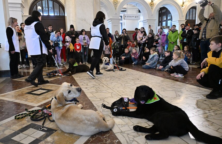 Международный день собак-проводников отметили на Северном речном вокзале 11 фото
