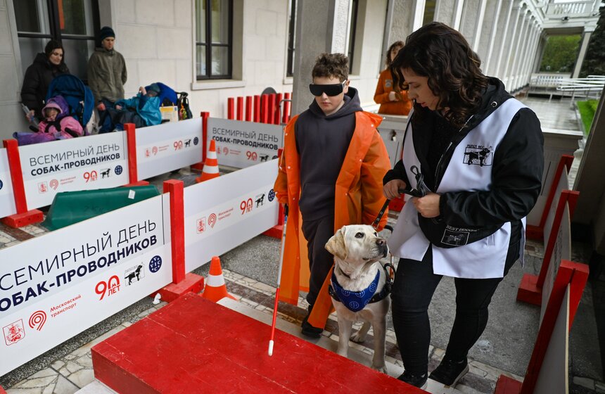 Международный день собак-проводников отметили на Северном речном вокзале 22 фото