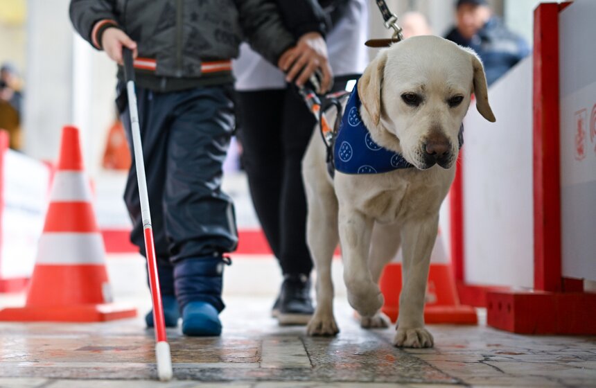 Международный день собак-проводников отметили на Северном речном вокзале 18 фото