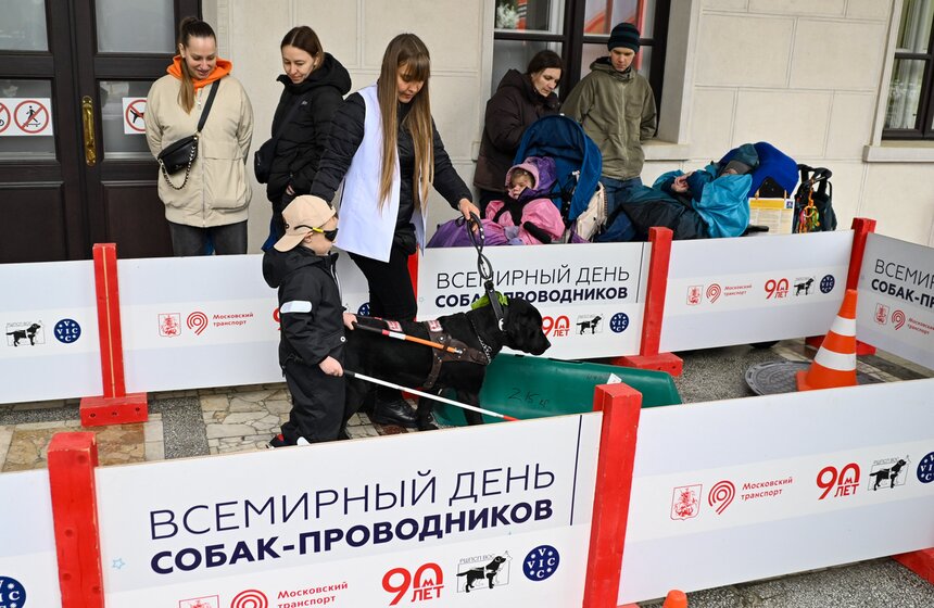Международный день собак-проводников отметили на Северном речном вокзале 21 фото