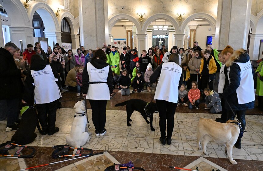 Международный день собак-проводников отметили на Северном речном вокзале 5 фото