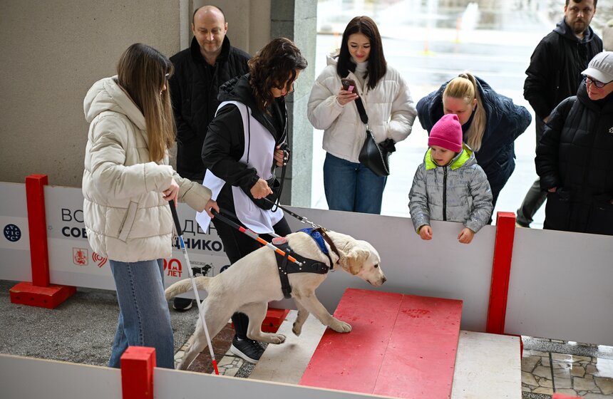Международный день собак-проводников отметили на Северном речном вокзале 14 фото