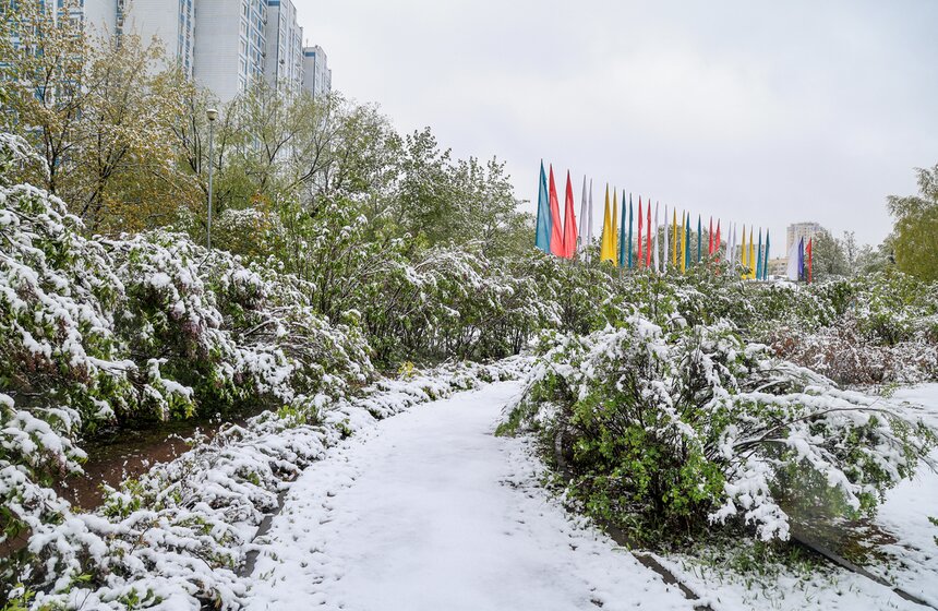 Снегопад накрыл Москву и область в ночь на 2 мая 23 фото