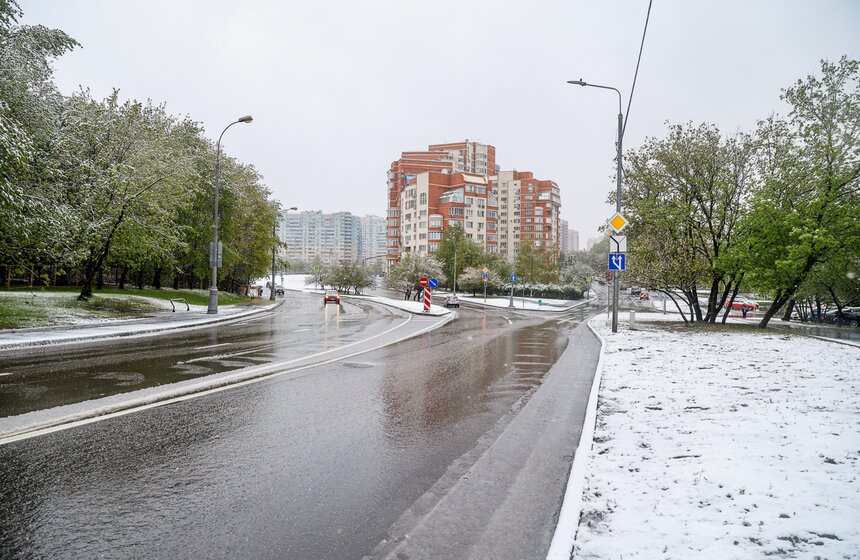 Снегопад накрыл Москву и область в ночь на 2 мая 17 фото