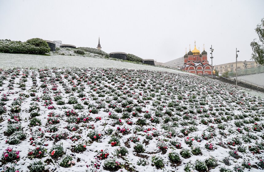 Снегопад накрыл Москву и область в ночь на 2 мая 10 фото