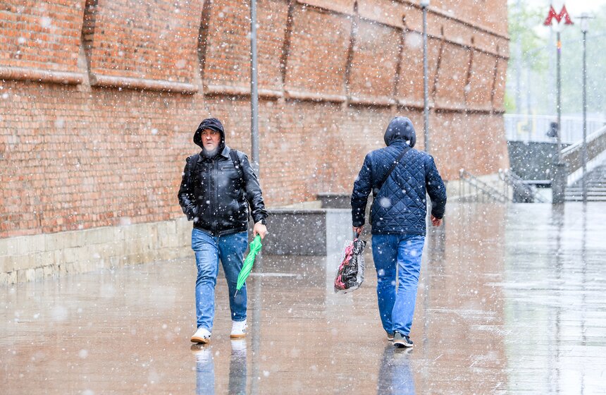 Снегопад накрыл Москву и область в ночь на 2 мая 13 фото