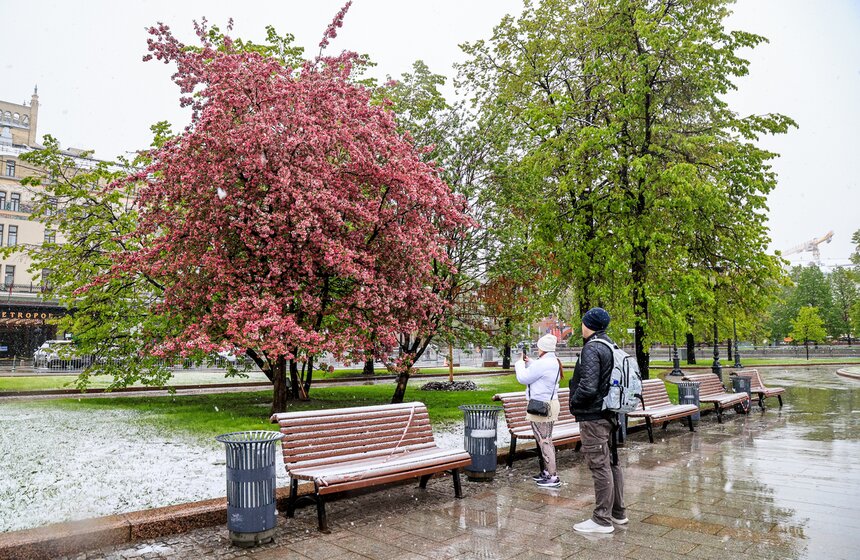 Снегопад накрыл Москву и область в ночь на 2 мая 4 фото