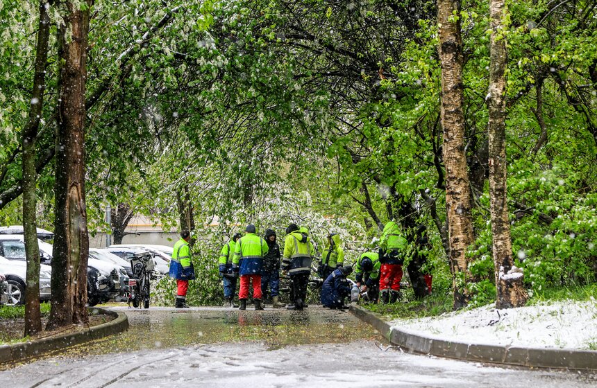 Снегопад накрыл Москву и область в ночь на 2 мая 15 фото