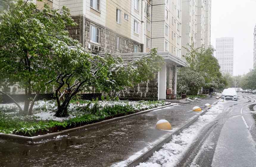 Снегопад накрыл Москву и область в ночь на 2 мая 14 фото