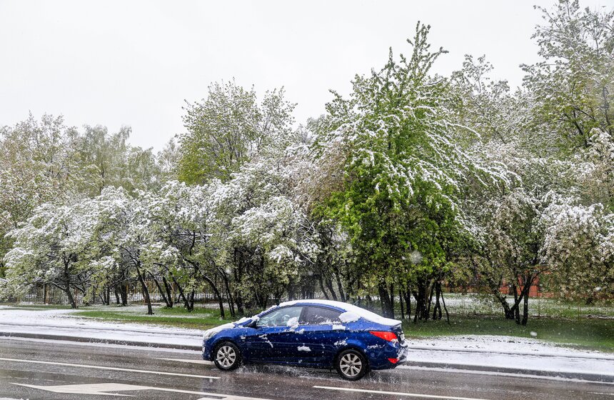 Снегопад накрыл Москву и область в ночь на 2 мая 18 фото