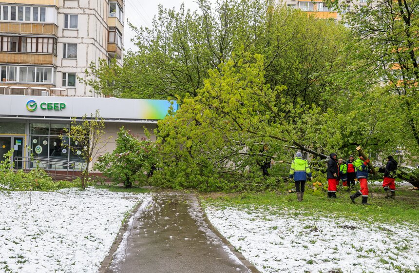 Снегопад накрыл Москву и область в ночь на 2 мая 32 фото