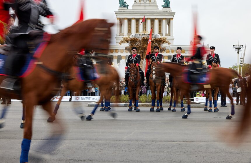 На ВДНХ стартовал сезон выступлений Кремлевской школы верховой езды 8 фото