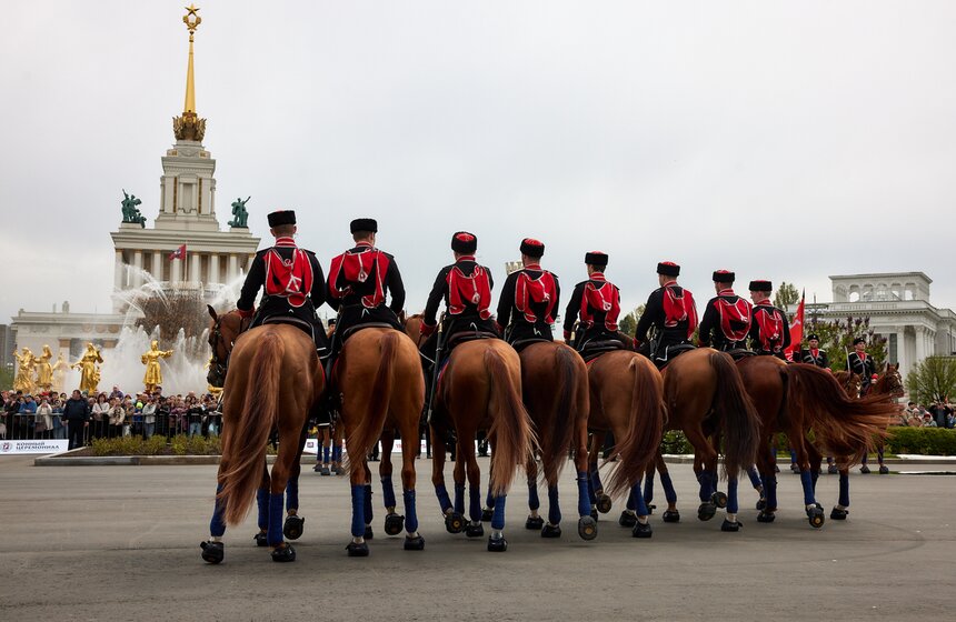 На ВДНХ стартовал сезон выступлений Кремлевской школы верховой езды 15 фото