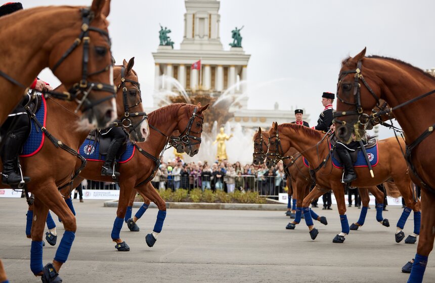 На ВДНХ стартовал сезон выступлений Кремлевской школы верховой езды 14 фото