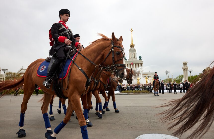 На ВДНХ стартовал сезон выступлений Кремлевской школы верховой езды 17 фото