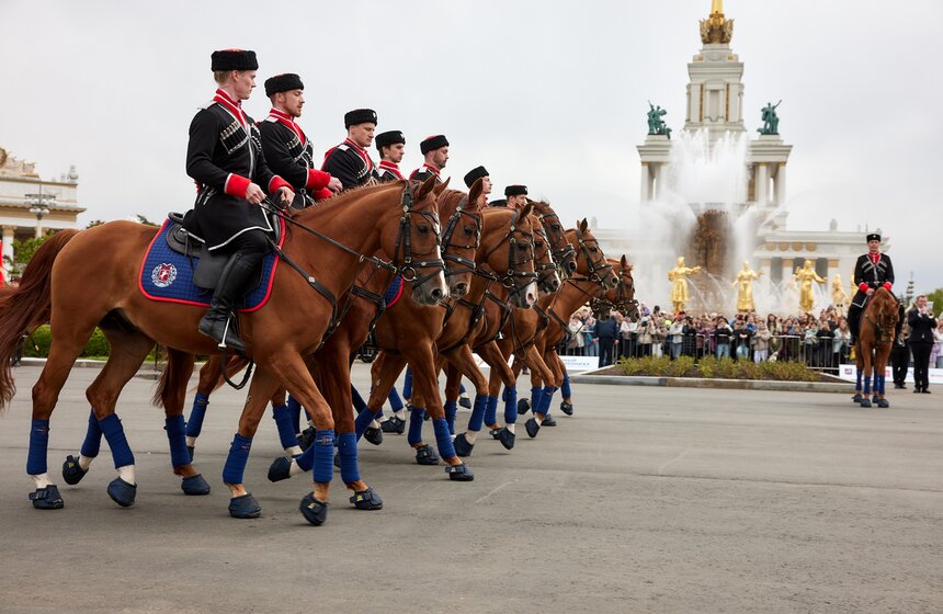 На ВДНХ стартовал сезон выступлений Кремлевской школы верховой езды 12 фото