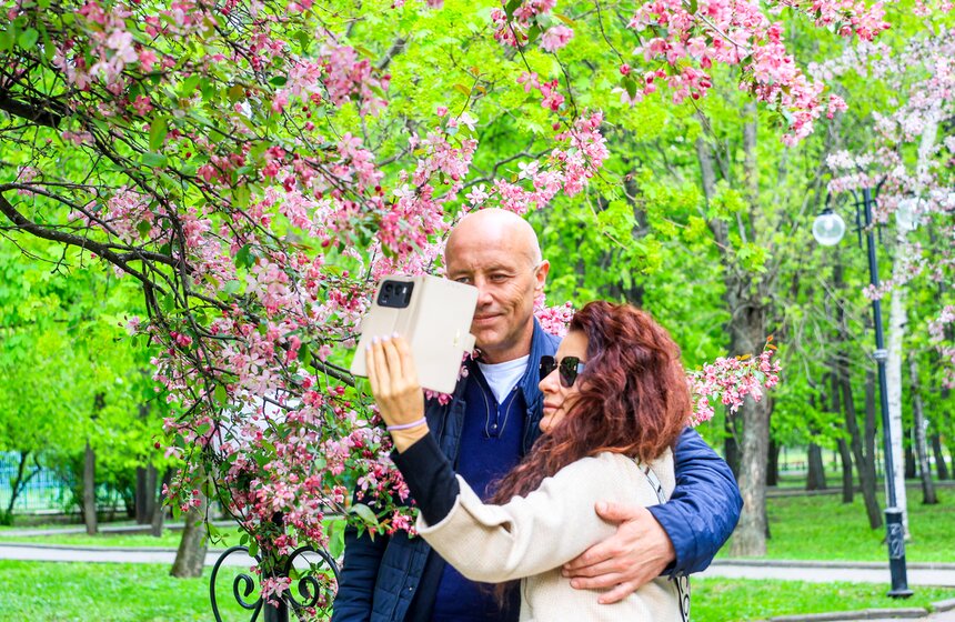 Яблони расцвели в Екатерининском парке 9 фото