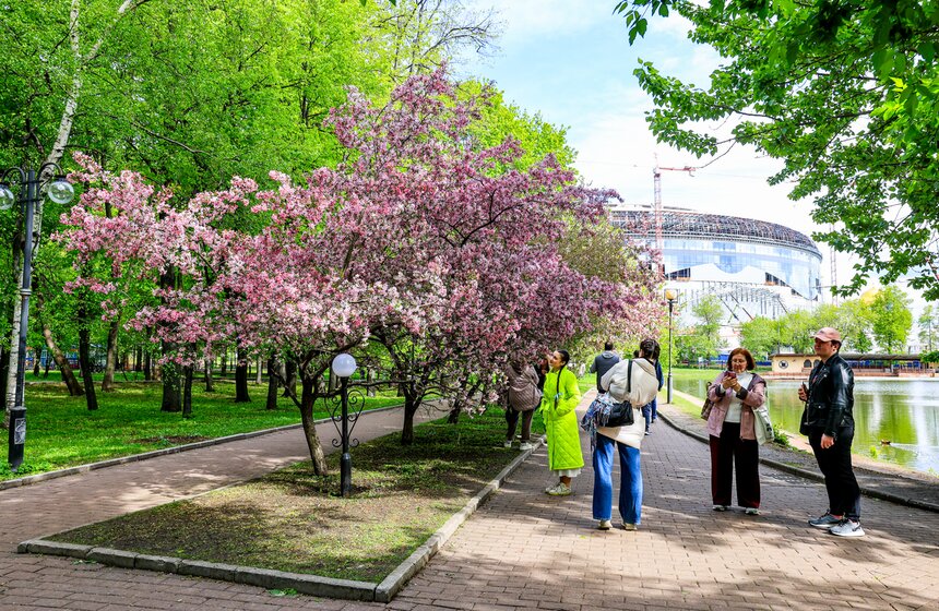 Яблони расцвели в Екатерининском парке 2 фото