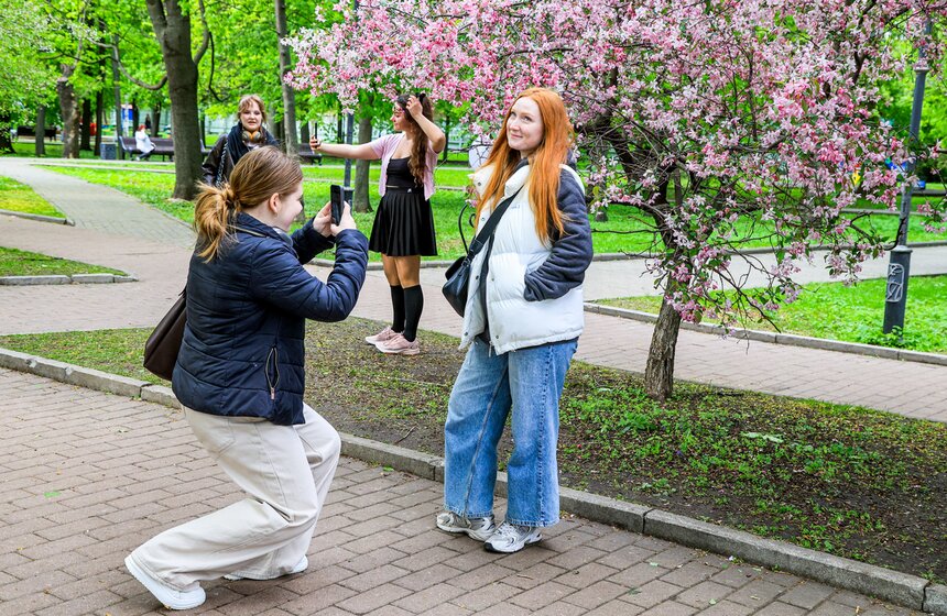 Яблони расцвели в Екатерининском парке 14 фото
