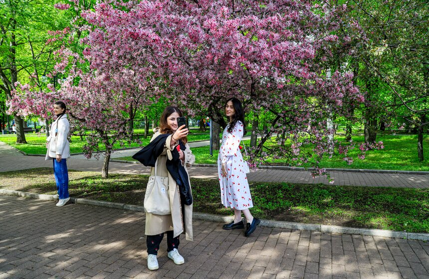 Яблони расцвели в Екатерининском парке 13 фото