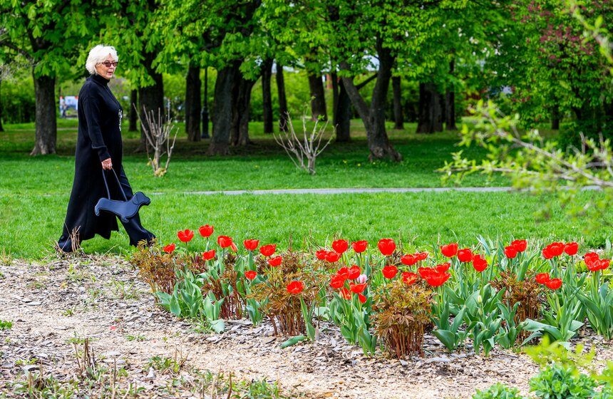 Сирень расцвела в Сиреневом саду на Щелковском шоссе 7 фото