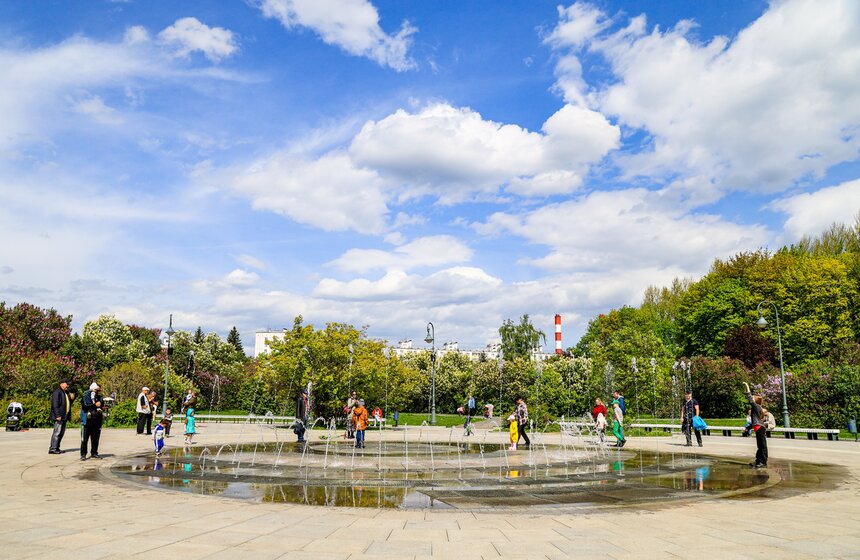 Сирень расцвела в Сиреневом саду на Щелковском шоссе 1 фото