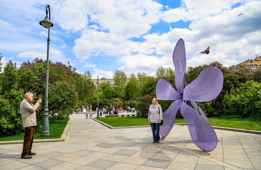 Сирень расцвела в Сиреневом саду на Щелковском шоссе 11 фото