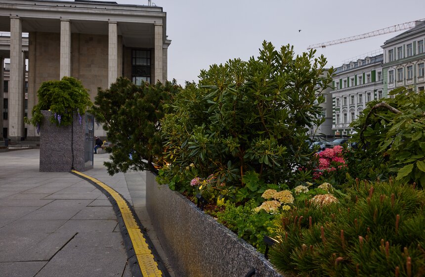 В Москве расцвели зеленые оазисы фестиваля "Сады и цветы" 3 фото