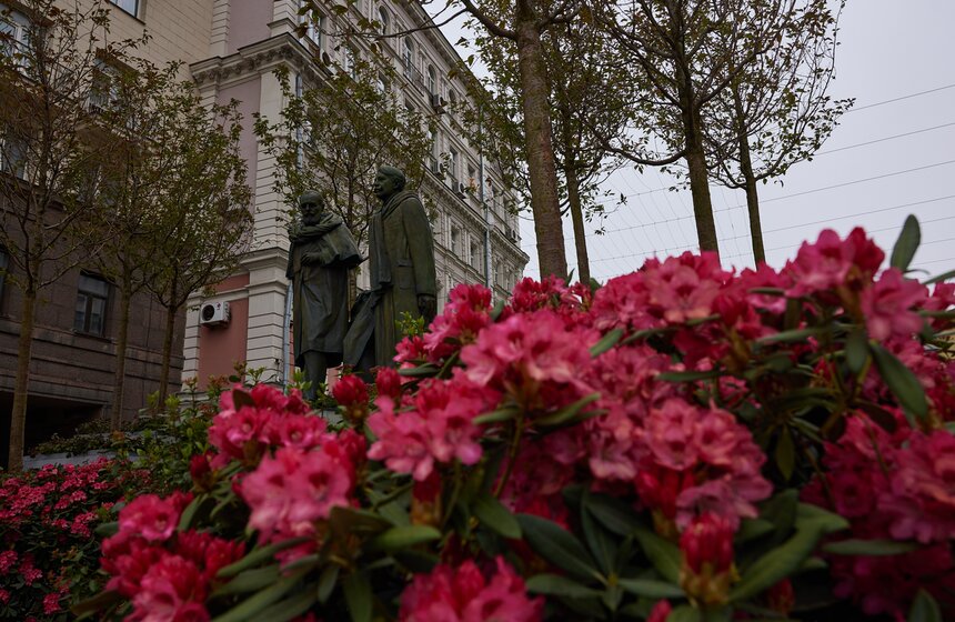 В Москве расцвели зеленые оазисы фестиваля "Сады и цветы" 18 фото