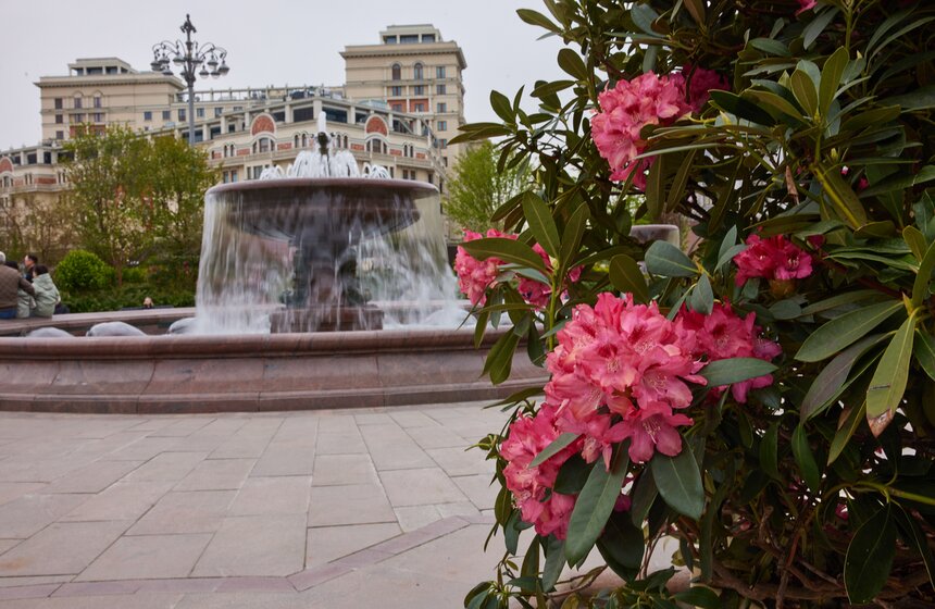 В Москве расцвели зеленые оазисы фестиваля "Сады и цветы" 13 фото