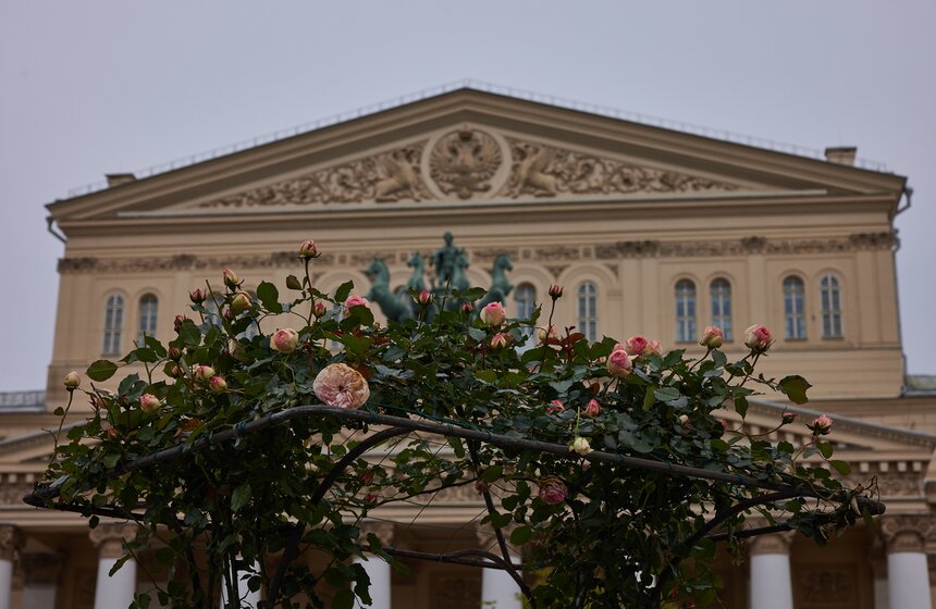 В Москве расцвели зеленые оазисы фестиваля "Сады и цветы" 12 фото