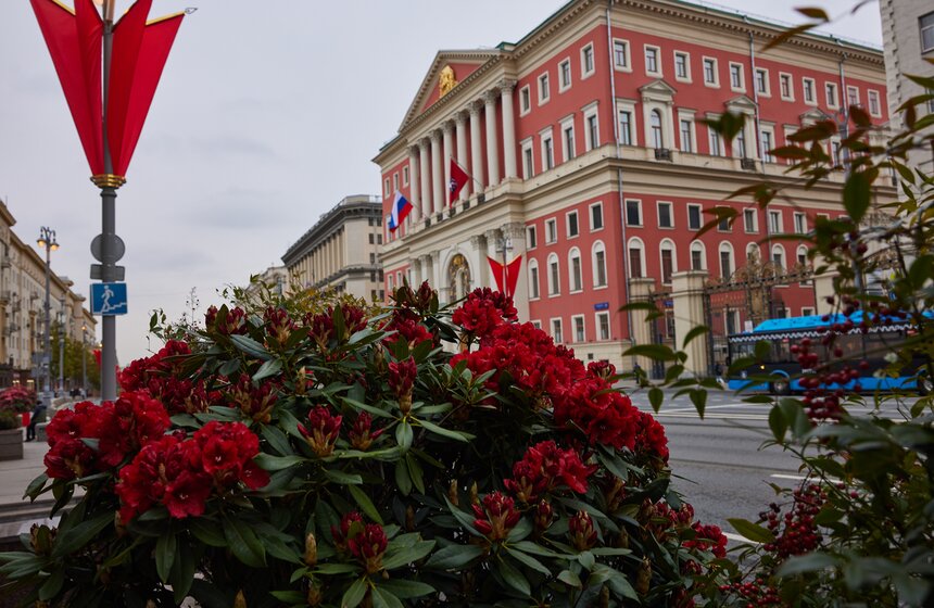 В Москве расцвели зеленые оазисы фестиваля "Сады и цветы" 20 фото