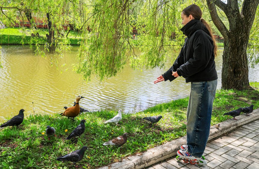 На водоемах Москвы установили плавучие домики для уток 20 фото